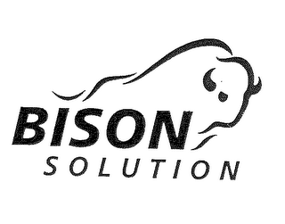 BISON SOLUTION