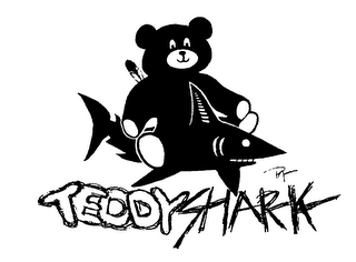 TEDDYSHARK