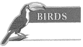 BIRDS