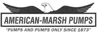 AMERICAN-MARSH PUMPS "PUMPS AND PUMPS ONLY SINCE 1873"