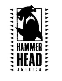 HAMMER HEAD AMERICA