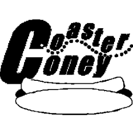 COASTER CONEY