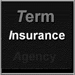 TERM INSURANCE