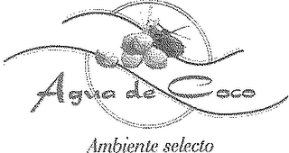 AGUA DE COCO AMBIENTE SELECTO