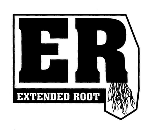 ER EXTENDED ROOT