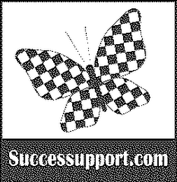 SUCCESSUPPORT.COM