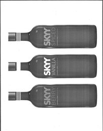 SKYY VODKA