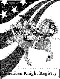 AMERICAN KNIGHT REGISTRY