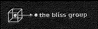 THE BLISS GROUP