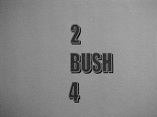 2 BUSH 4