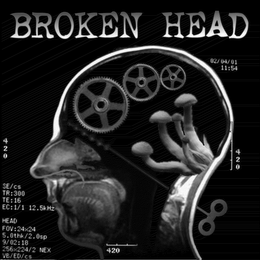 BROKEN HEAD