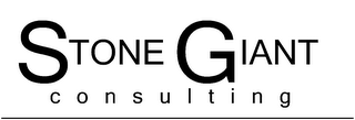 STONE GIANT CONSULTING