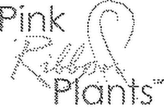 PINK RIBBON PLANTS