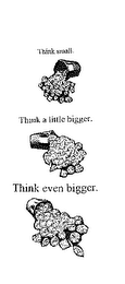 THINK SMALL. THINK A LITTLE BIGGER. THINK EVEN BIGGER.