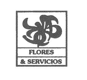 FLORES & SERVICIOS