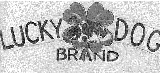 LUCKY DOG BRAND