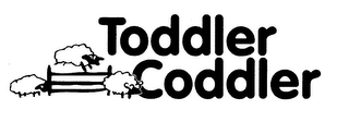 TODDLER CODDLER