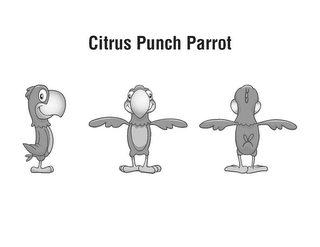 CITRUS PUNCH PARROT