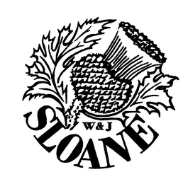 W & J SLOANE