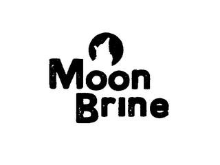 MOON BRINE