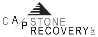 CAPSTONE RECOVERY INC