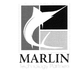 MARLIN TECHNOLOGY PARTNERS