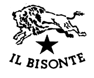 IL BISONTE