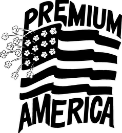 PREMIUM AMERICA