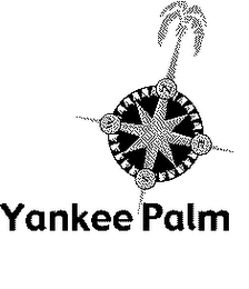 YANKEE PALM