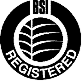 BSI REGISTERED