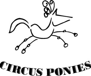 CIRCUS PONIES