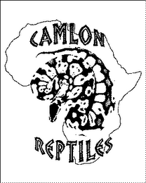 CAMLON REPTILES