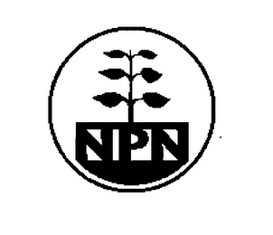 NPN