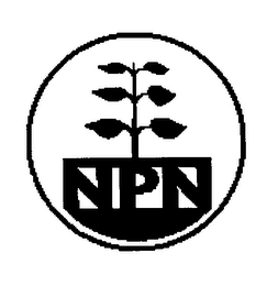 NPN