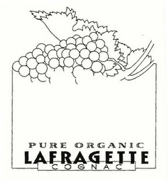 PURE ORGANIC LAFRAGETTE COGNAC