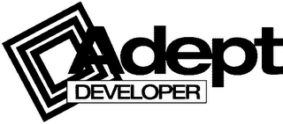 ADEPT DEVELOPER