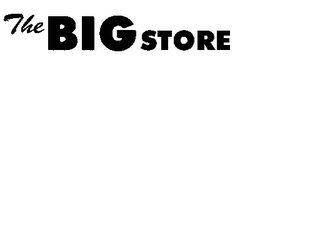 THE BIG STORE