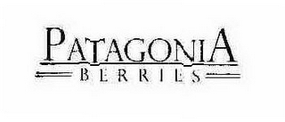 PATAGONIA BERRIES