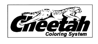 CHEETAH COLORING SYSTEM