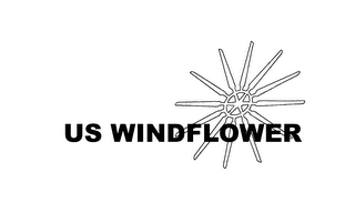 US WINDFLOWER