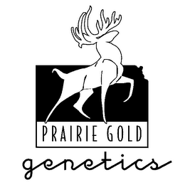 PRAIRIE GOLD GENETICS