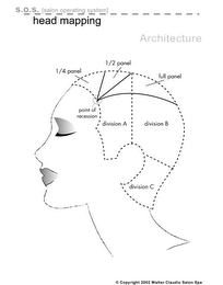 S.O.S. (SALON OPERATING SYSTEM) HEAD MAPPING ARCHITECTURE