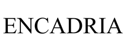 ENCADRIA STAFFING SOLUTIONS LLC
