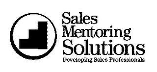 SALES MENTORING SOLUTIONS DEVELOPING SALES PROFESSIONALS