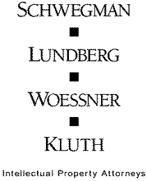 SCHWEGMAN LUNDBERG WOESSNER KLUTH INTELLECTUAL PROPERTY ATTORNEYS