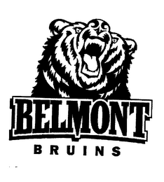 BELMONT BRUINS