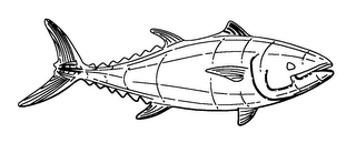 (3 DIMENSIONAL TUNA DESIGN)