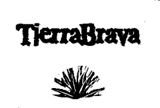 TIERRABRAVA