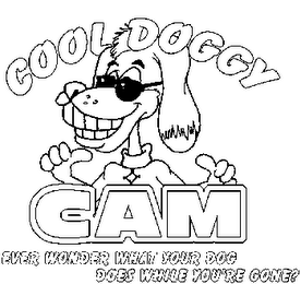 COOL DOGGY CAM, EVER WONDER WHAT YOUR DOG DOES WHEN YOU'RE NOT HOME