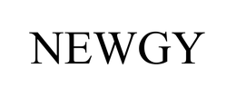 NEWGY INDUSTRIES, INC.